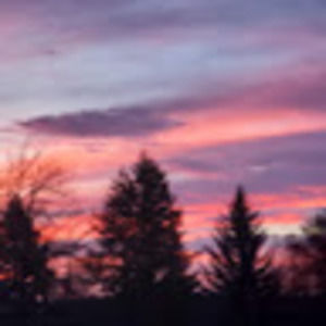 Meet your Posher, Kylee